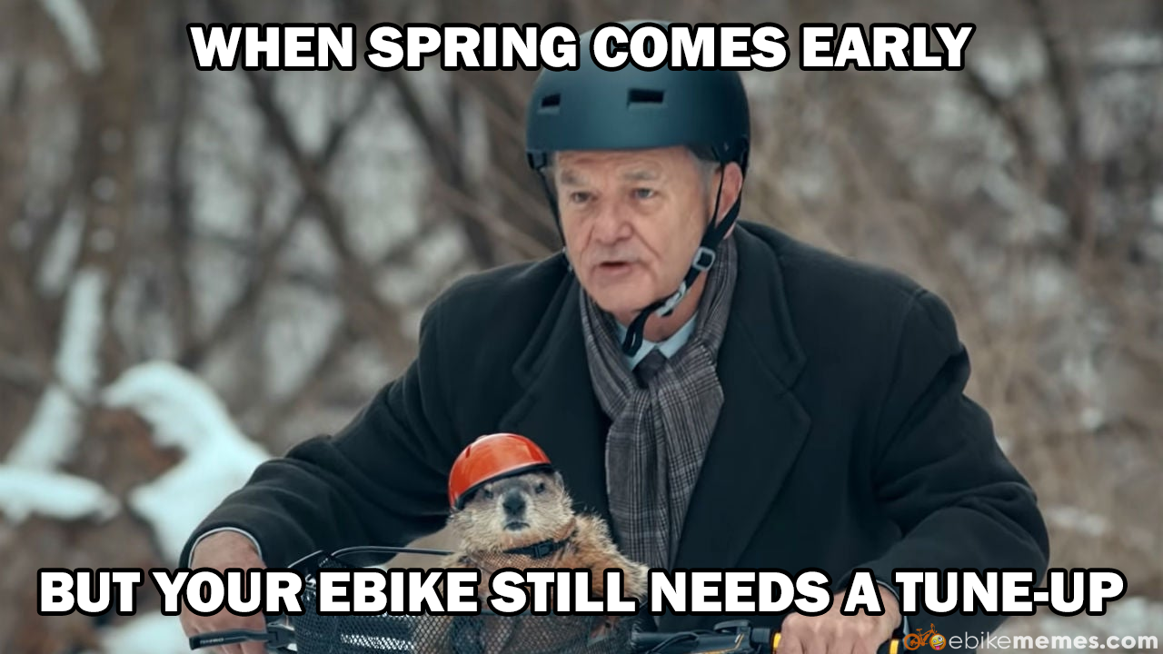 Ebike Repair Shops - How Hard is Ebike Maintenance?