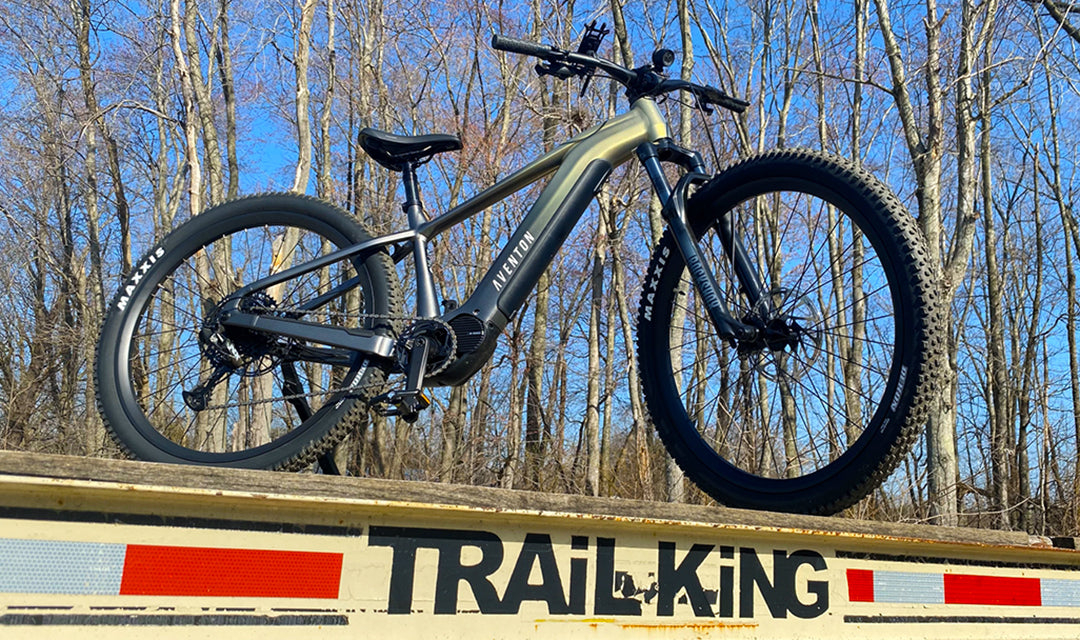 Conquering New Domains: Rule the Trails with the Power of an E-Mountain Bike