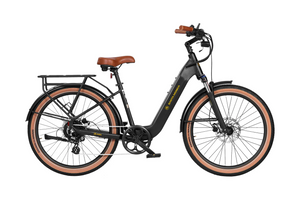 AIMA: Santa Monica Ebike