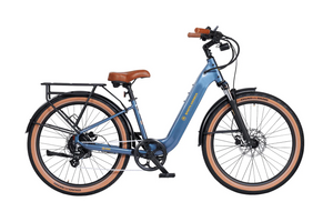 AIMA: Santa Monica Ebike