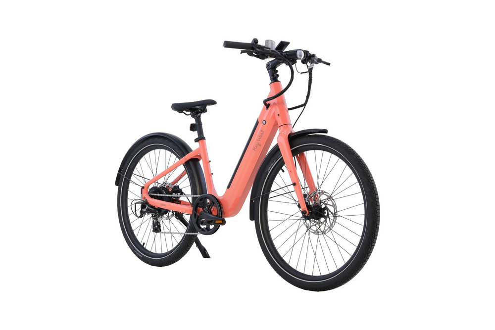 AIMA: Key West Ebike