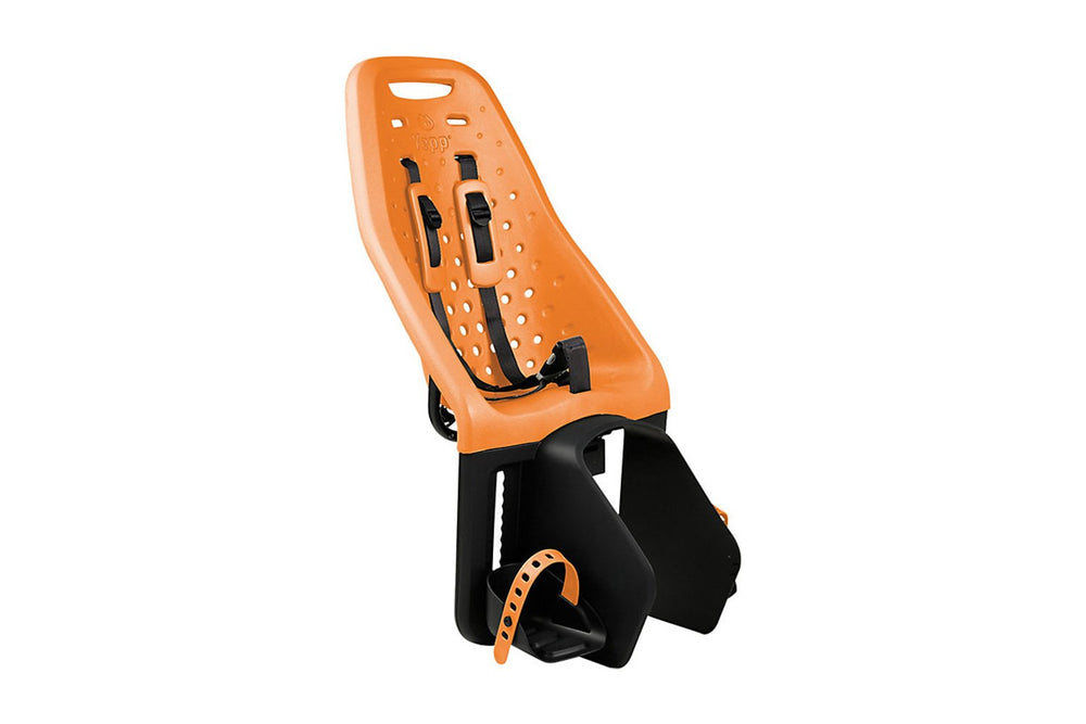 Thule Yepp Maxi Child Seat